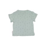 Marškinėliai trumpomis rankovėmis ir šortukai berniukams Palmės, muslino medžiagos Pastelinė žalia 238 4