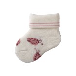Kojinės kūdikiams dovanų dėžutėje Boružėlė, frotinės, 3 poros (0-4 mėn.) Skaisti balta 500 2
