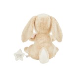 Muzikinis žaislas ki&scaron;kutis Hanni, 22 cm Ry&scaron;kiai ruda 998 2