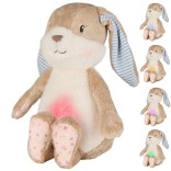 kudikiu-migdukas-su-lempute-sterntaler