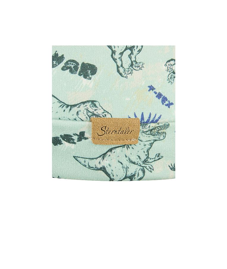 Vaikiška beanie kepurė T-Rex Žalia 270 4