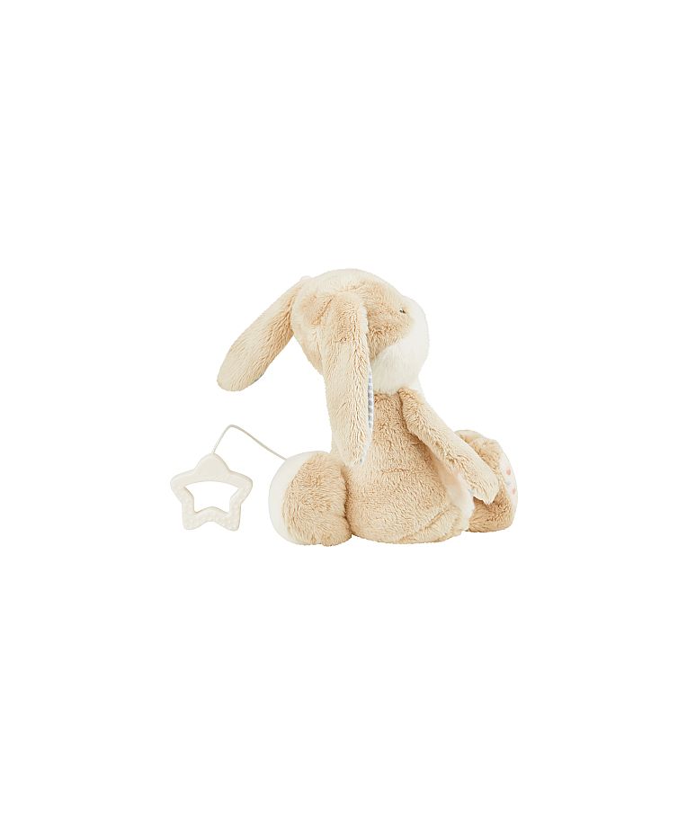 Muzikinis žaislas ki&scaron;kutis Hanni, 22 cm Ry&scaron;kiai ruda 998 5