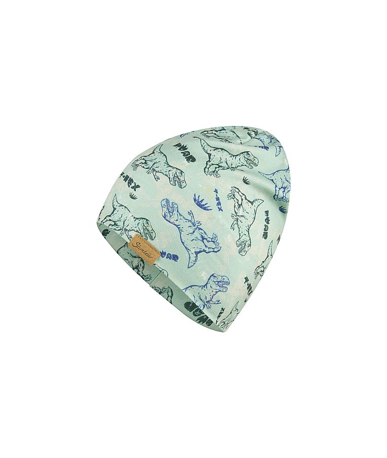 Vaikiška beanie kepurė T-Rex Žalia 270 1
