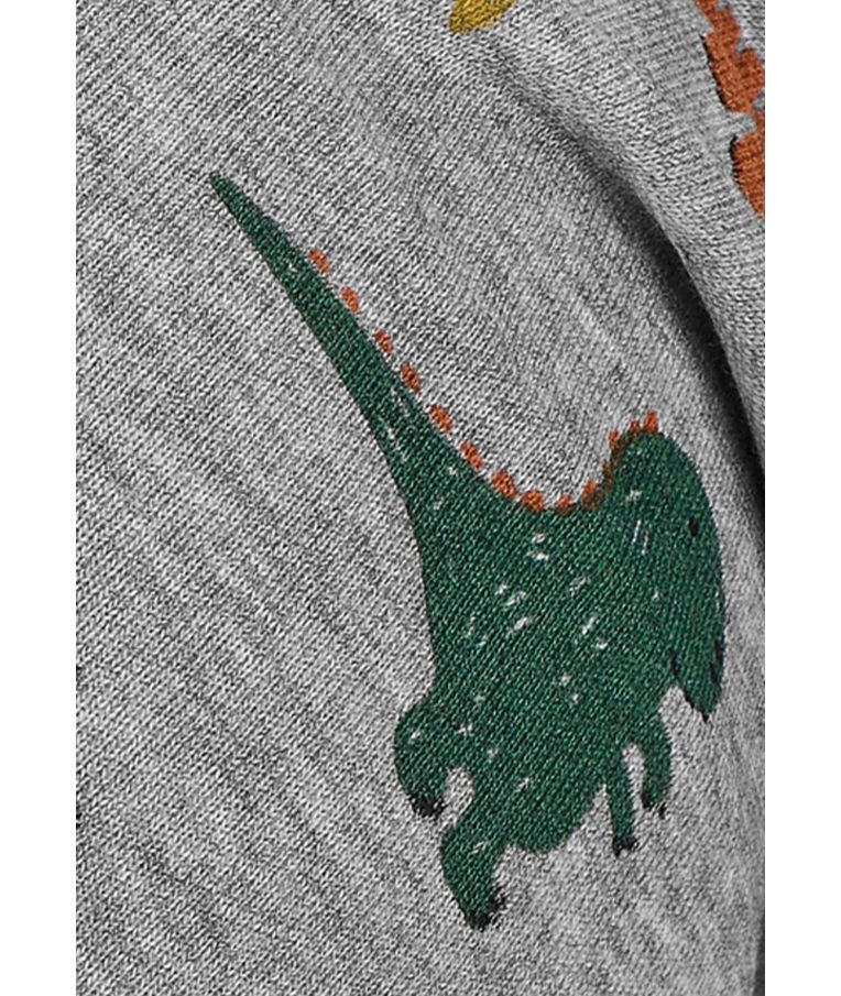 Vaikiška kepurė berniukams Spalvoti dinozaurai, viengubo trikotažo Pilka 542 5